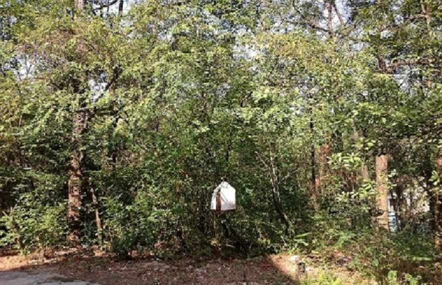 2013-11-29 2013-11-29 053.JPG