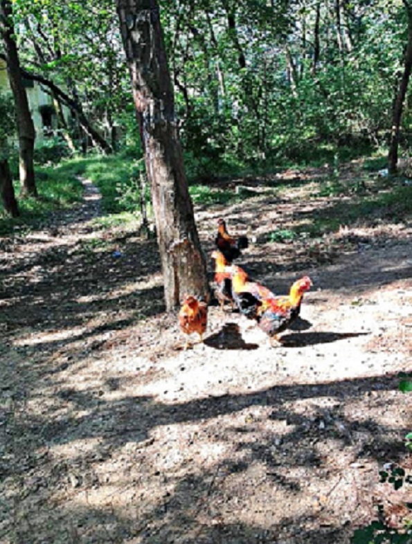 2013-11-29 2013-11-29 008.JPG