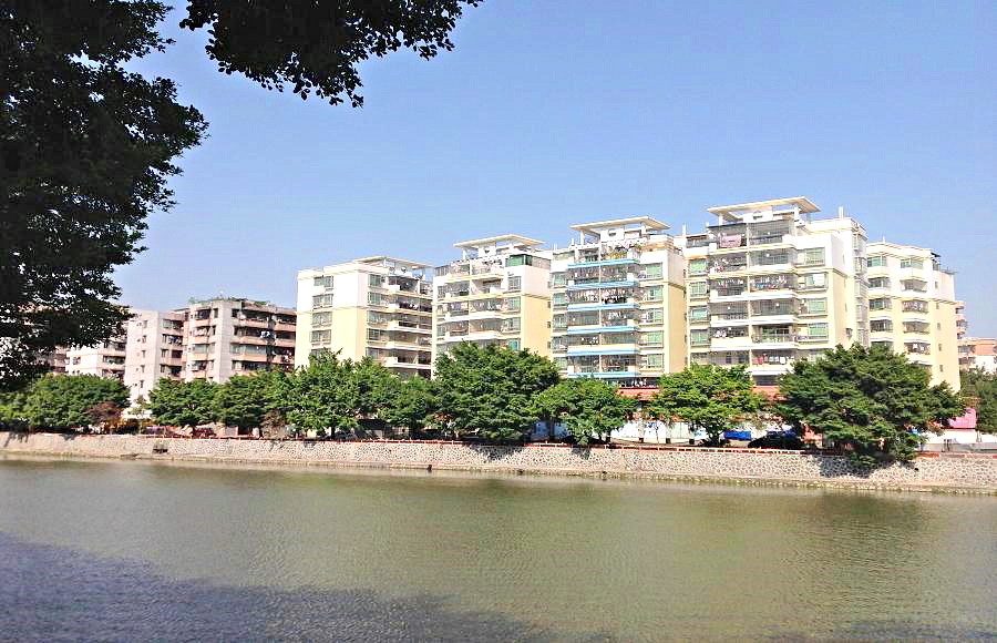 2013-11-29 2013-11-29 085.JPG