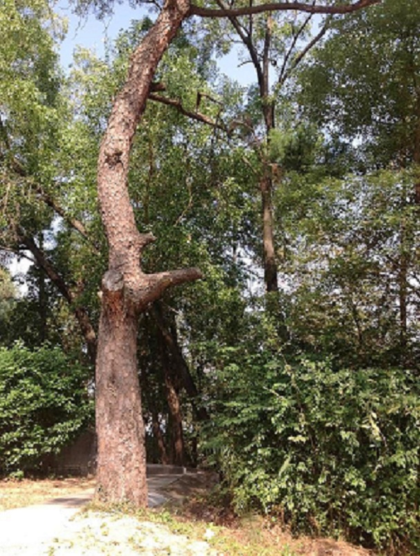 2013-11-29 2013-11-29 057.JPG