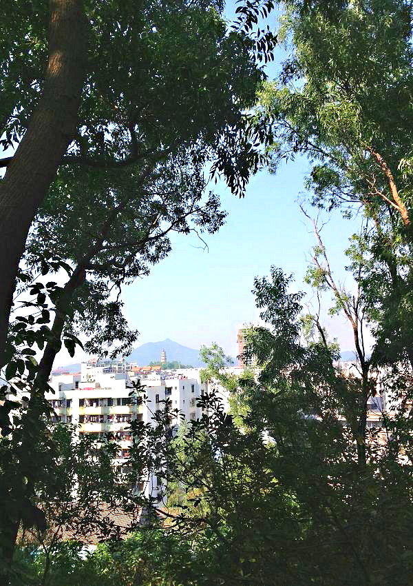 2013-11-30 ɽ 015.JPG