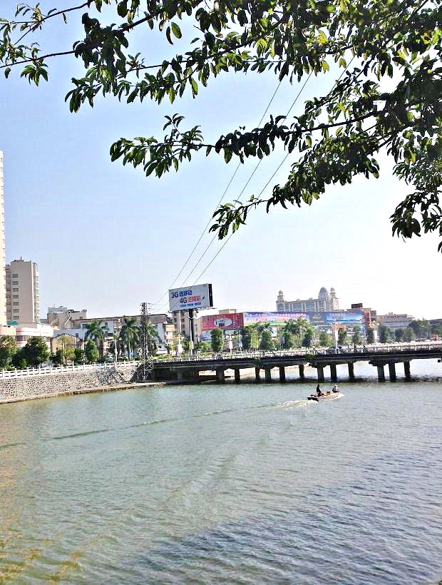 2013-11-29 2013-11-29 095.JPG