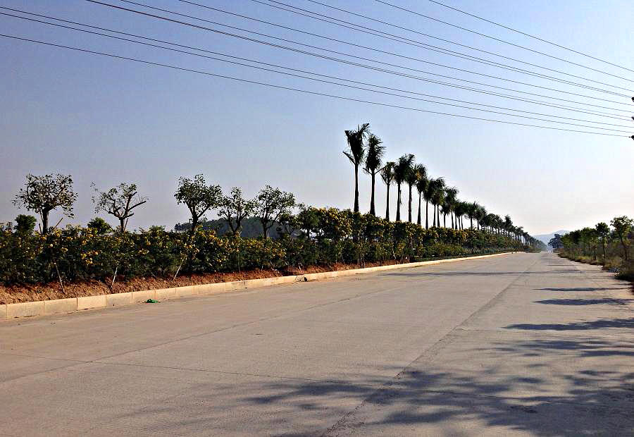 2013-11-30 ɽ 071.JPG