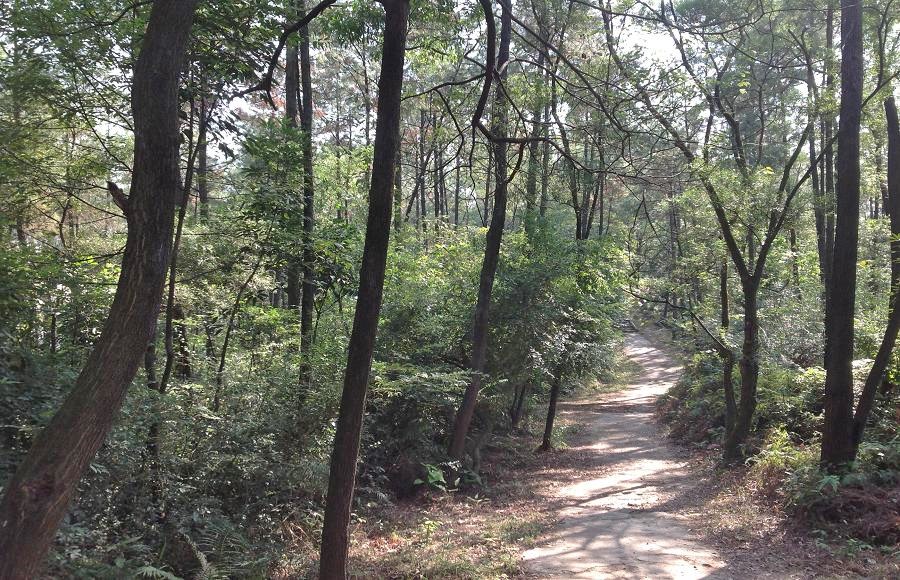 2013-11-29 2013-11-29 050.JPG