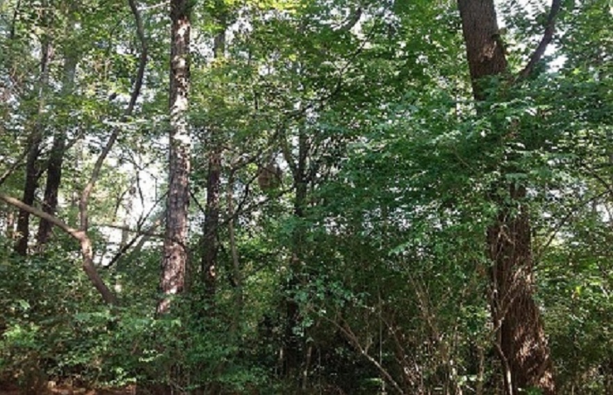 2013-11-29 2013-11-29 063.JPG