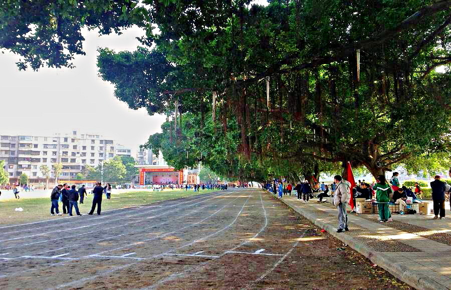 2013-11-29 2013-11-29 145.JPG