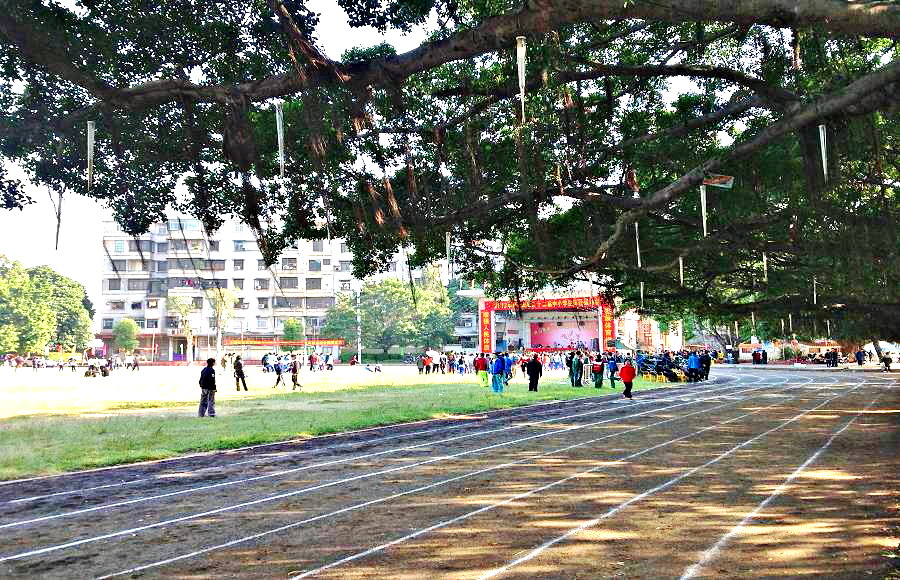 2013-11-29 2013-11-29 148.JPG