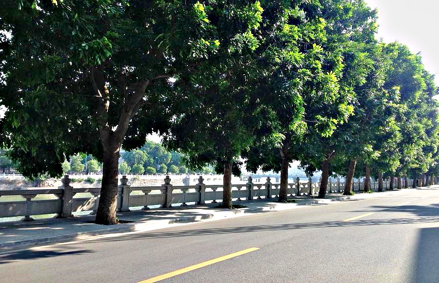 2013-11-29 2013-11-29 111.JPG