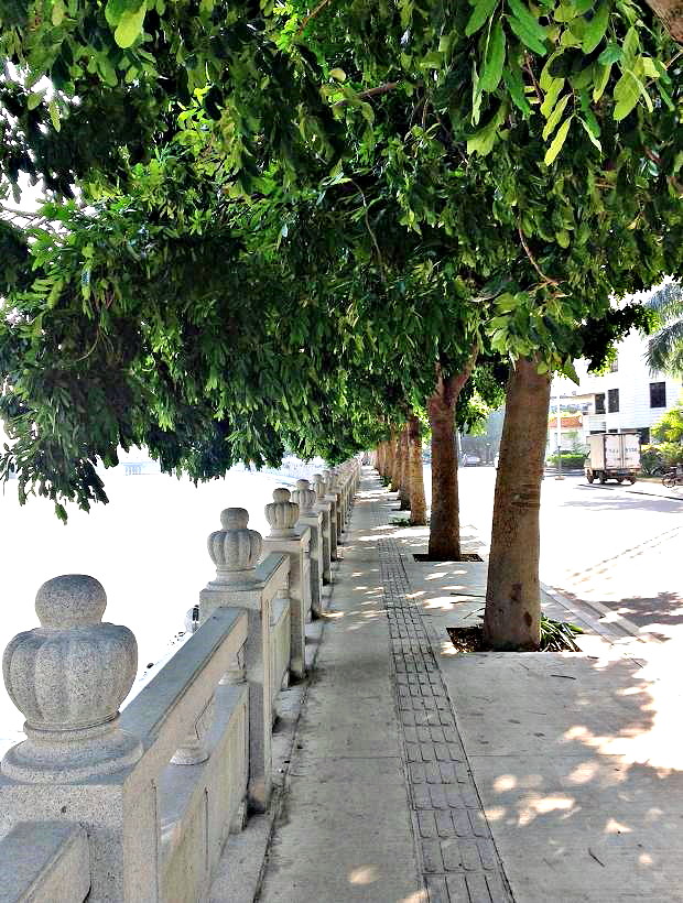 2013-11-29 2013-11-29 110.JPG