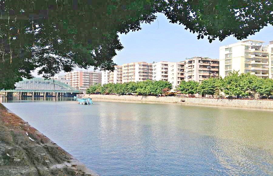 2013-11-29 2013-11-29 086.JPG