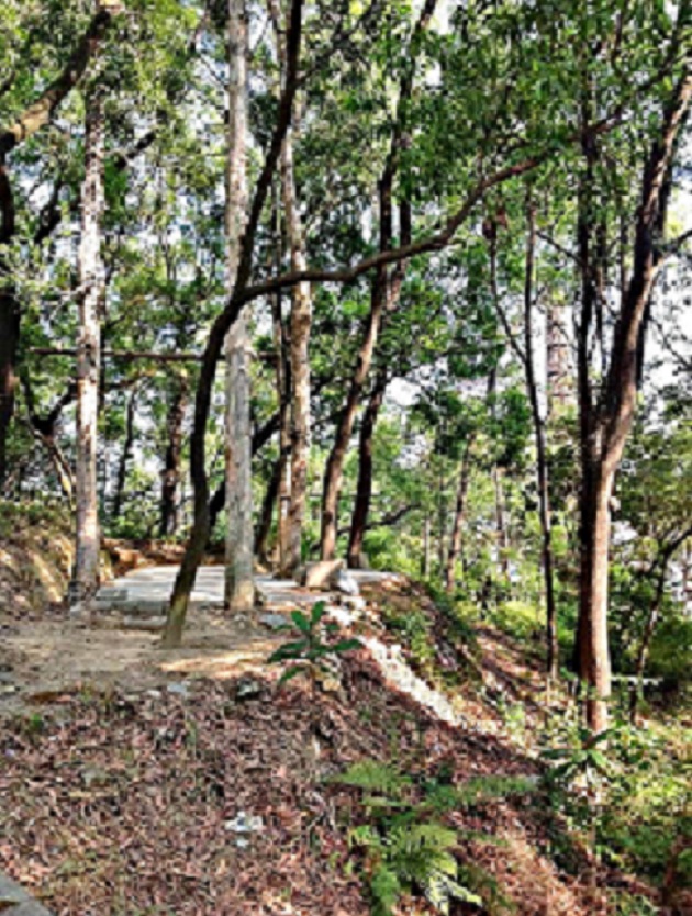 2013-11-29 2013-11-29 045.JPG