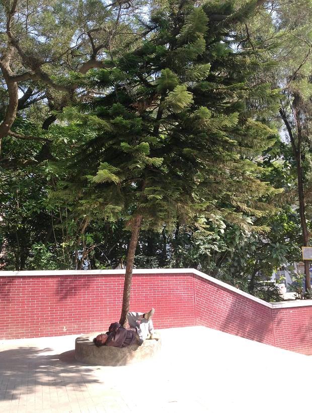 2013-11-29 2013-11-29 070.JPG