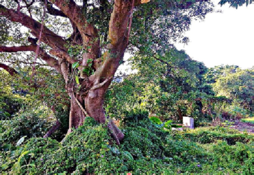 2013-11-30 ɽ 077.JPG