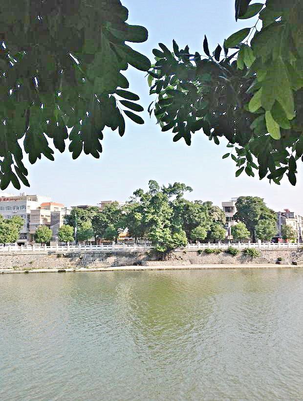 2013-11-29 2013-11-29 114.JPG