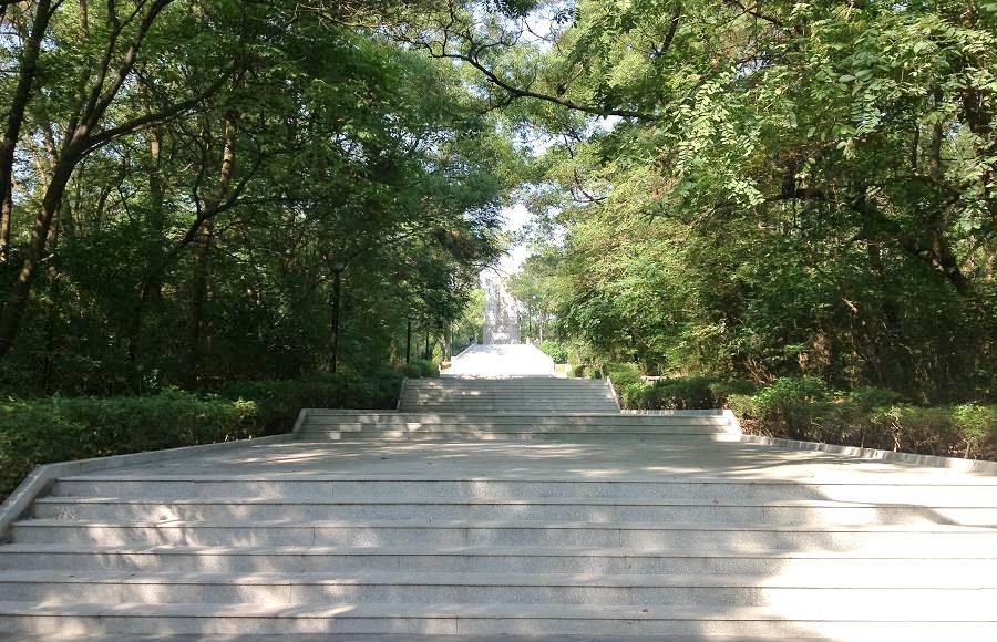 2013-11-29 2013-11-29 065.JPG