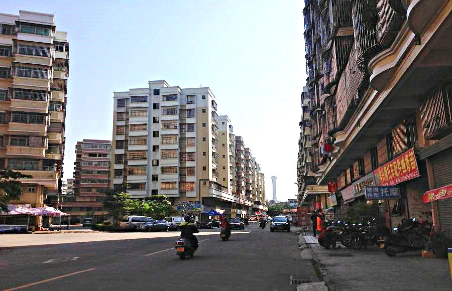 2013-11-29 2013-11-29 081.JPG