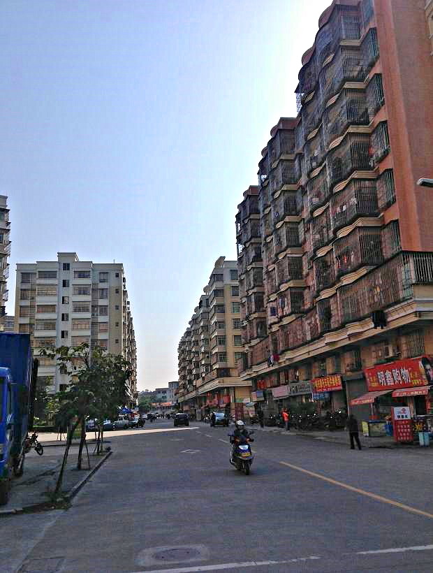 2013-11-29 2013-11-29 083.JPG