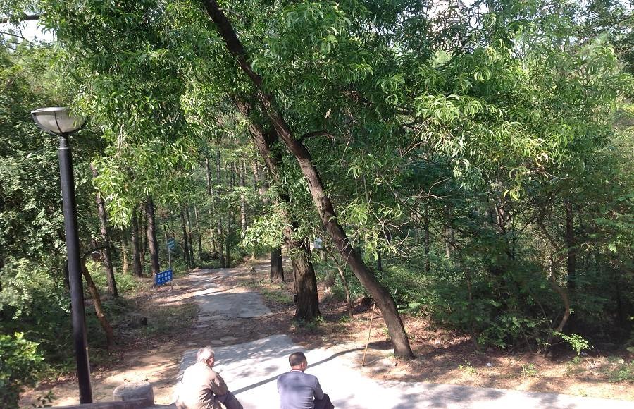 2013-11-29 2013-11-29 055.JPG