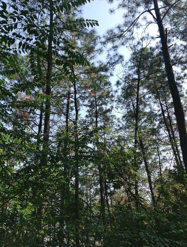 2013-11-29 2013-11-29 051.JPG