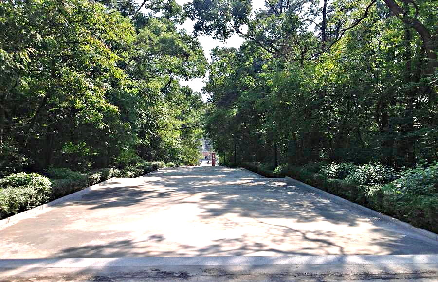 2013-11-29 2013-11-29 010.JPG