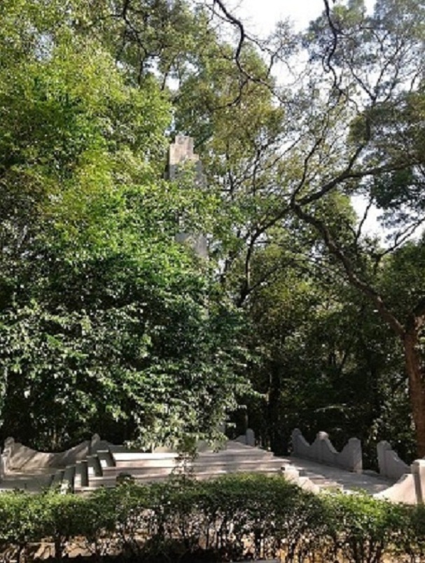 2013-11-29 2013-11-29 064.JPG