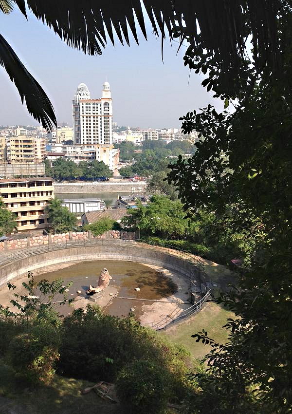 2013-11-30 ɽ 041.JPG