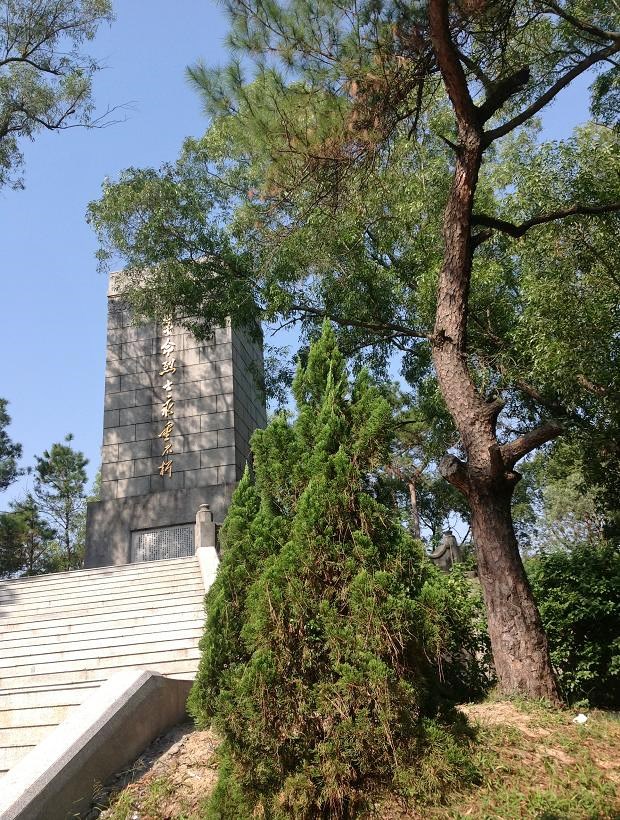 2013-11-29 2013-11-29 058.JPG