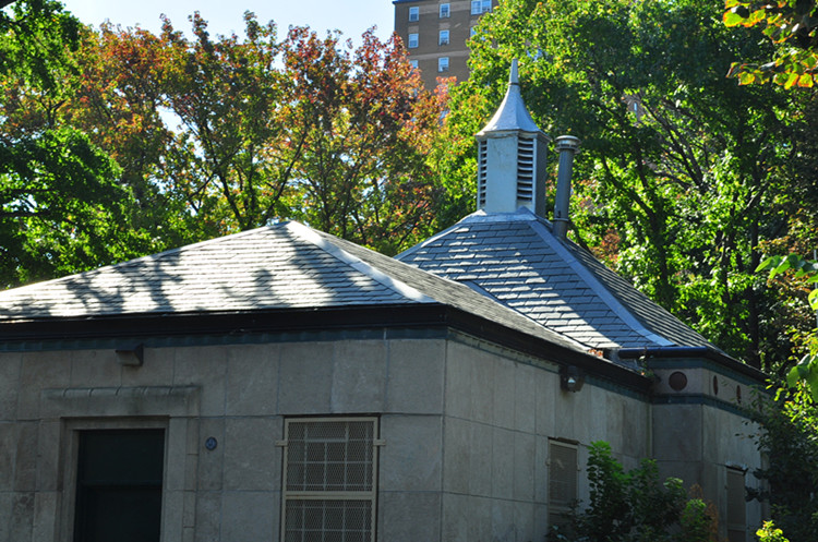 DSC_0745_����.jpg