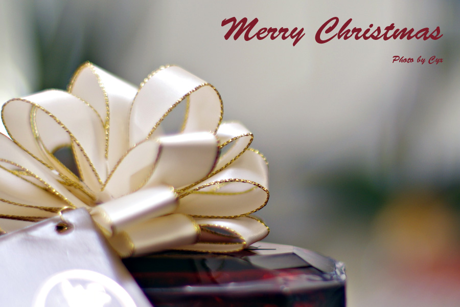 Christmas12-25-2013.jpg