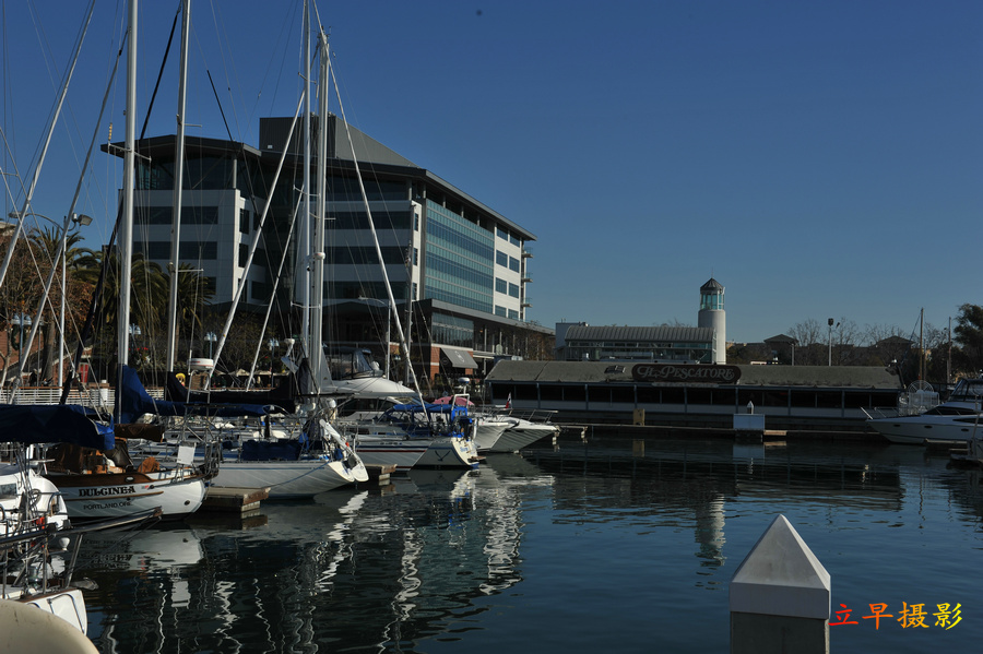 DSC_1965.jpg