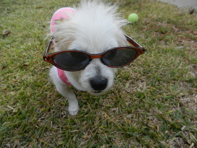 DSCN1381.JPG