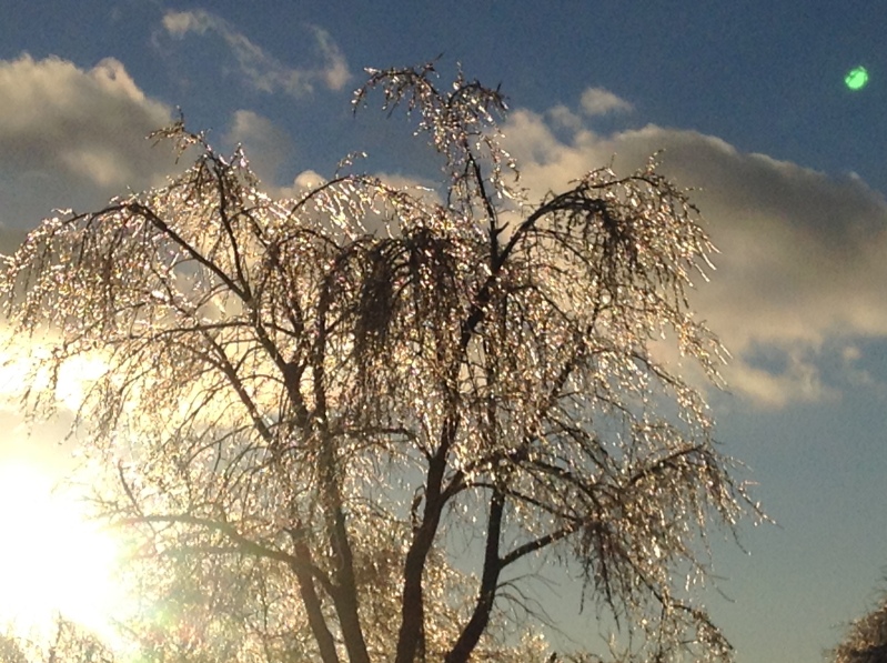 Toronto Ice Storm 2013-34.JPG