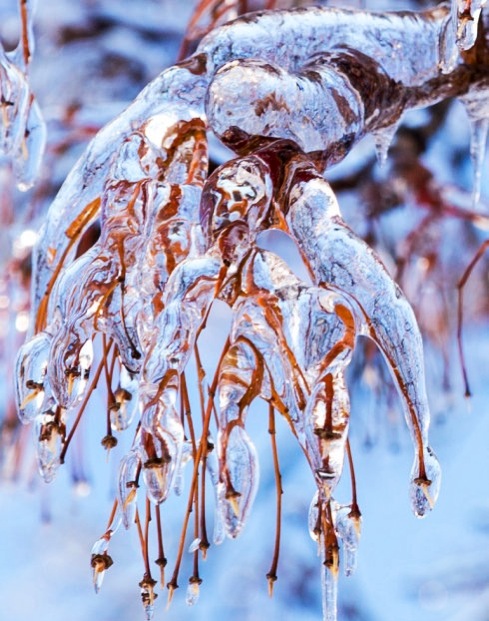 Toronto Ice Storm 2013-8.JPG