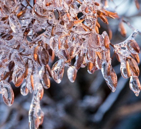 Toronto Ice Storm 2013-20.JPG