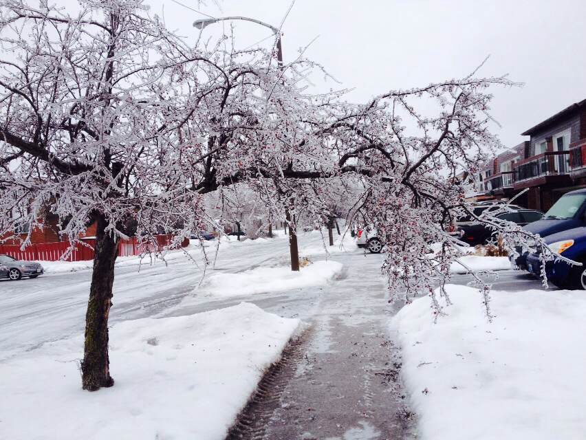 Toronto Ice Storm 2013-41.JPG