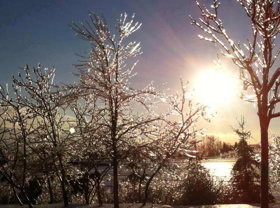 Toronto Ice Storm 2013-39.JPG