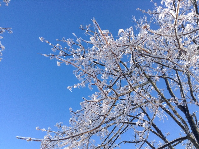 Toronto Ice Storm 2013-51.JPG