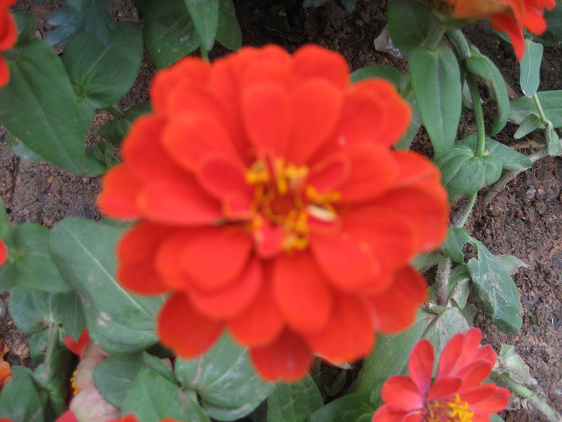 ԰ 088_.jpg
