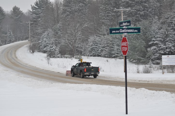 DSC_0125 (Small).JPG