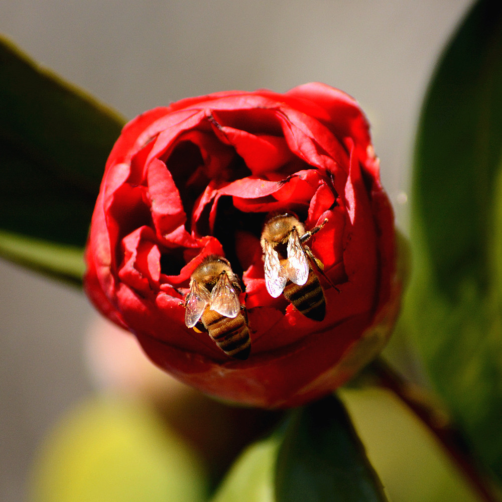 DSC_6186_35.jpg