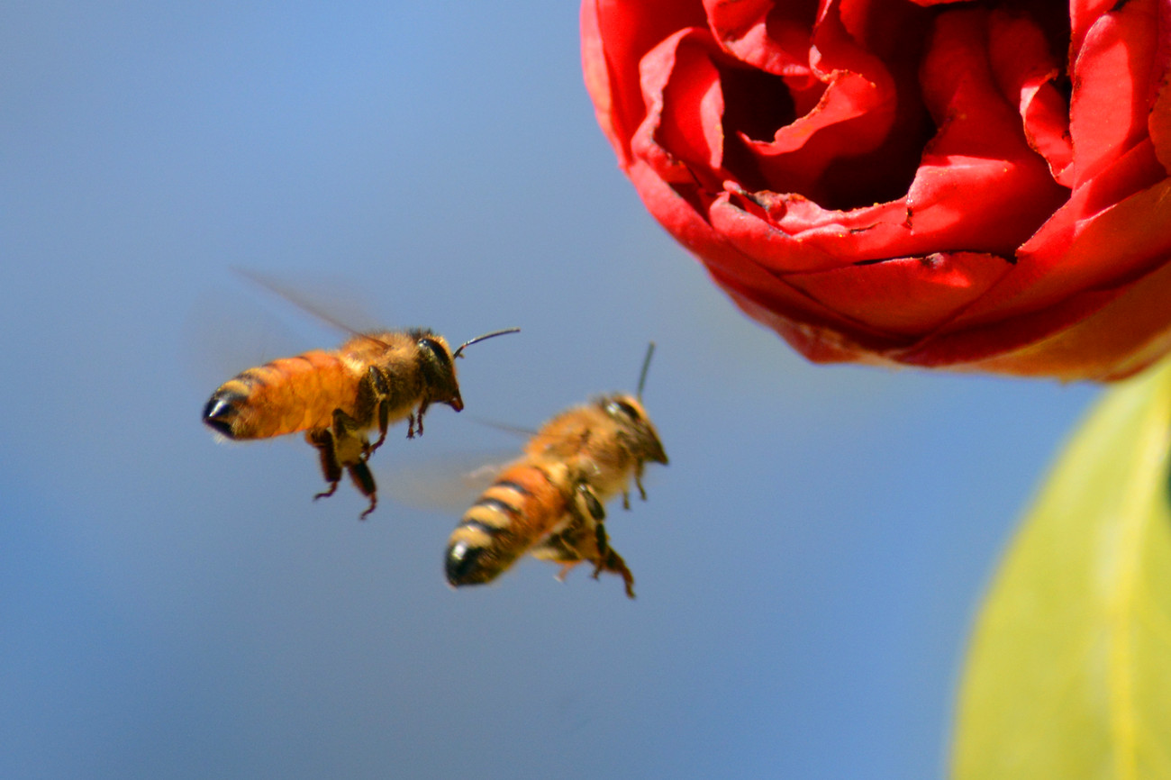 DSC_6751_4.jpg