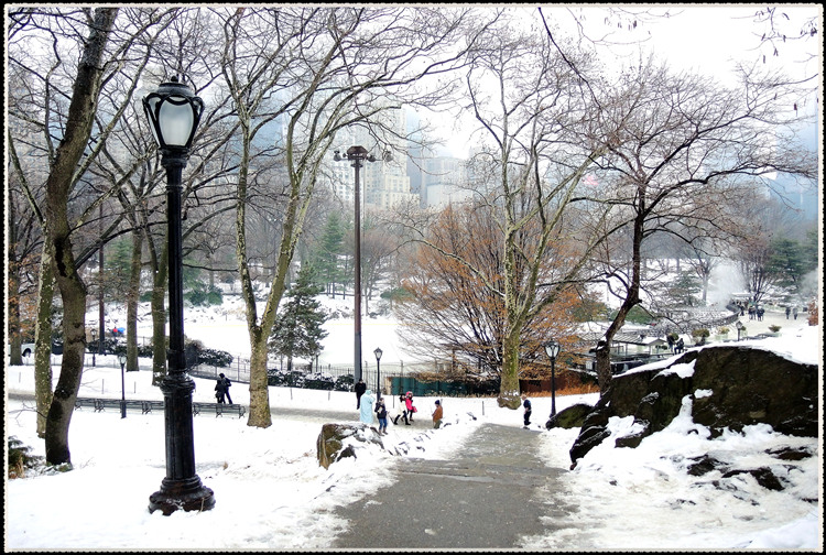 DSCN9226.jpg