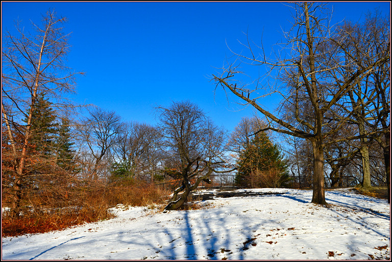 DSC_1868.jpg