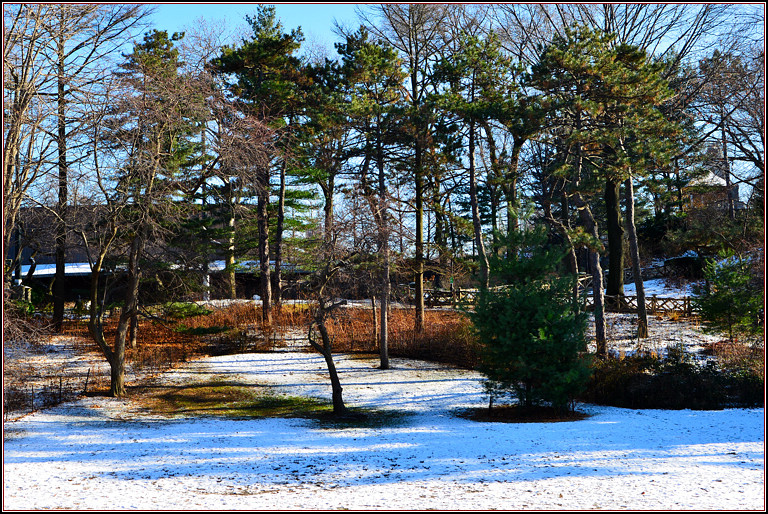 DSC_1889.jpg