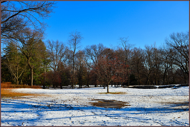 DSC_1904.jpg