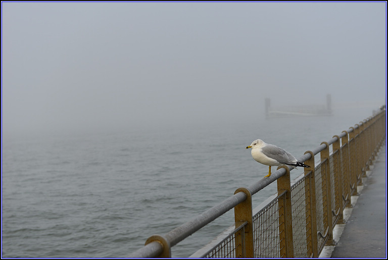 DSC_2475.jpg
