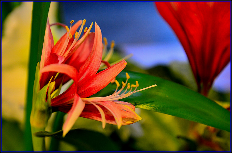 DSC_2362.jpg