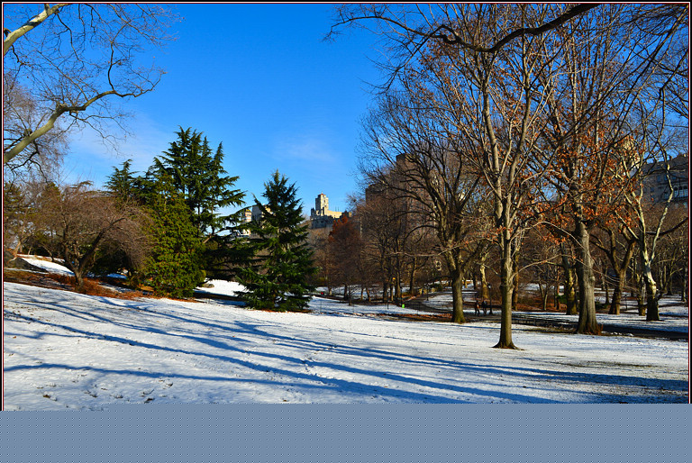 DSC_1862.jpg