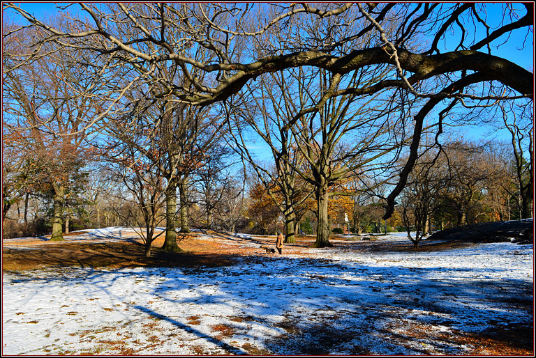 DSC_1906.jpg