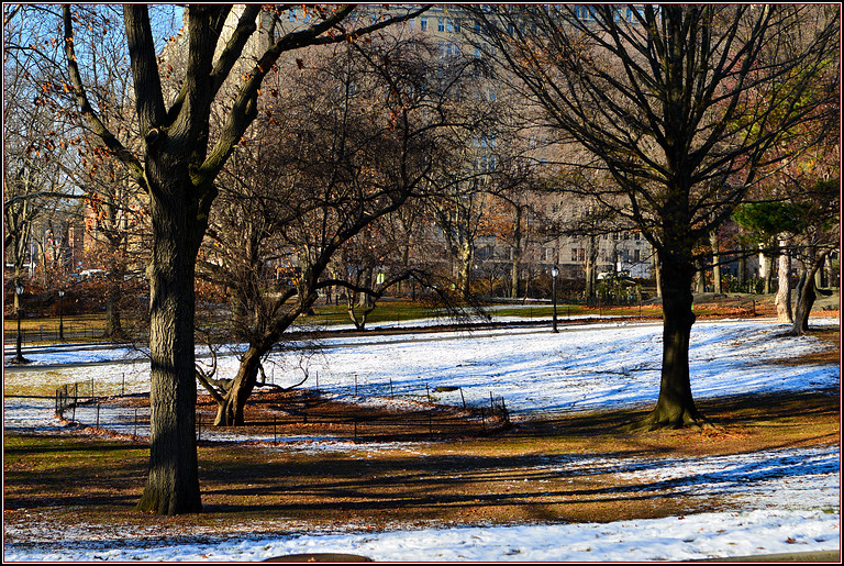 DSC_1890.jpg
